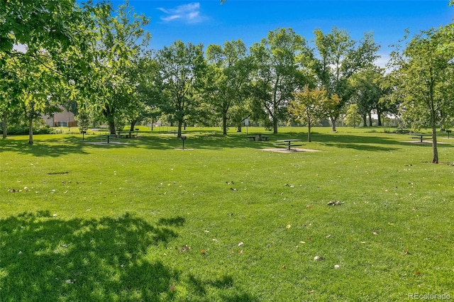 1457 S Franklin St, Denver, CO 80210 - view of home's community featuring a lawn
