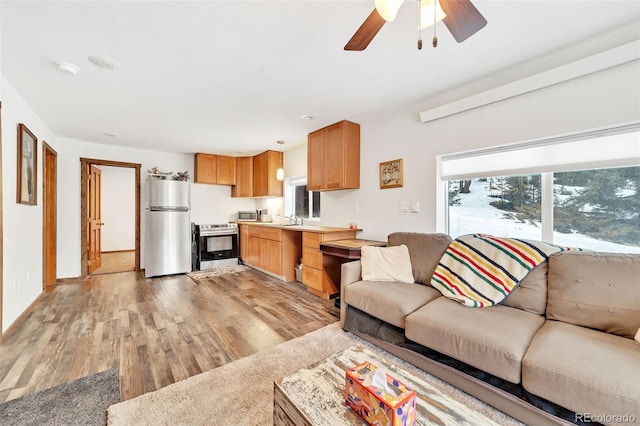 living room featuring ceiling fan, sink, and light wood-type flooring