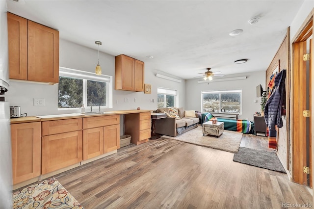 kitchen featuring pendant lighting, ceiling fan, sink, and light wood-type flooring