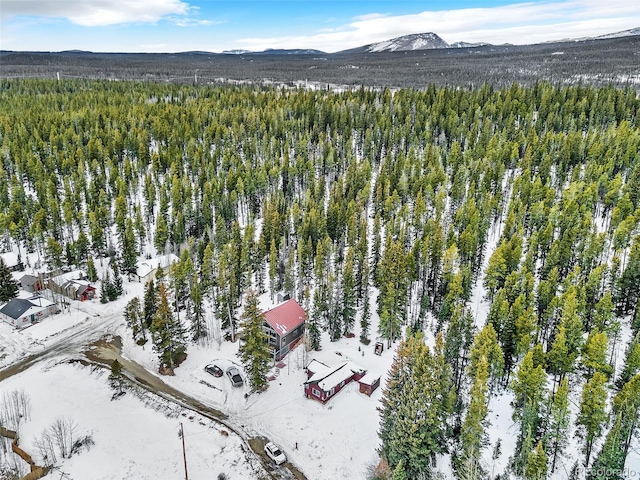 snowy aerial view with a mountain view