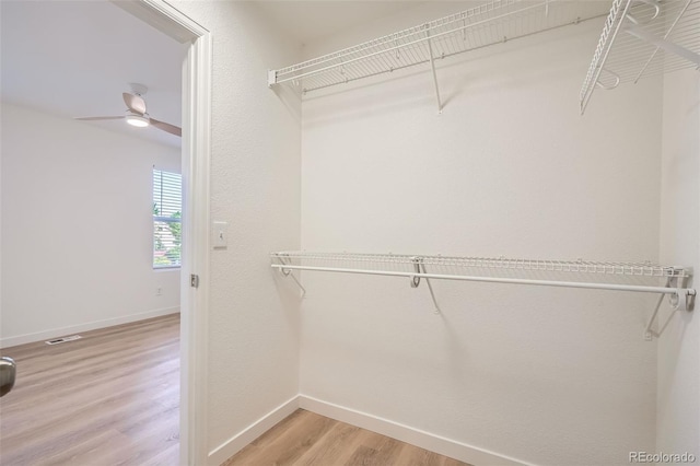 1272 Bluebird St, Brighton, CO 80601 - walk in closet featuring light wood-type flooring and a ceiling fan