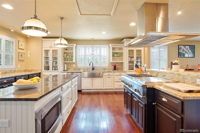 kitchen with dark brown cabinets, island range hood, a spacious island, and stainless steel appliances