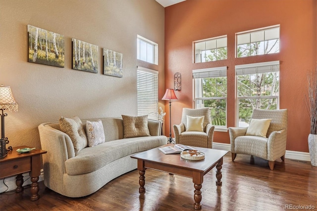 1445 Black Pine Ct, Castle Rock, CO 80104 - photo 6