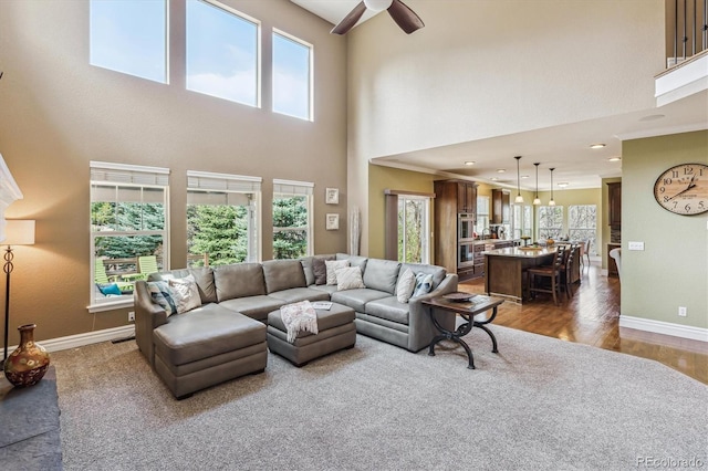 1445 Black Pine Ct, Castle Rock, CO 80104 - photo 12
