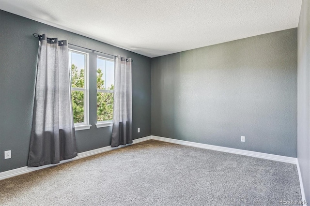 1445 Black Pine Ct, Castle Rock, CO 80104 - photo 29
