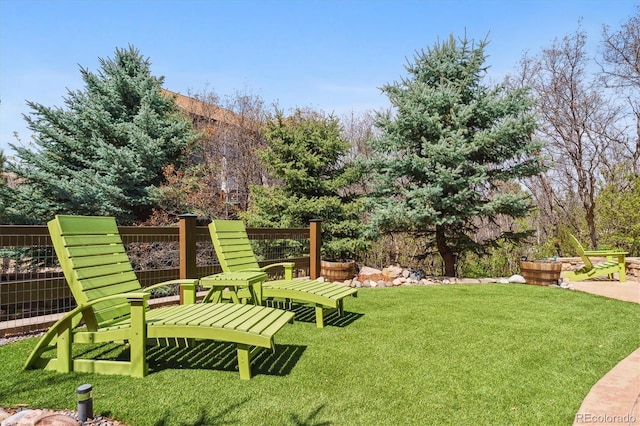 1445 Black Pine Ct, Castle Rock, CO 80104 - photo 39