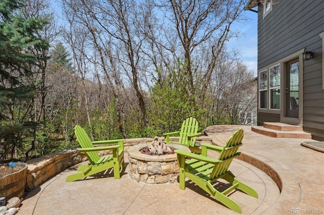 1445 Black Pine Ct, Castle Rock, CO 80104 - photo 40