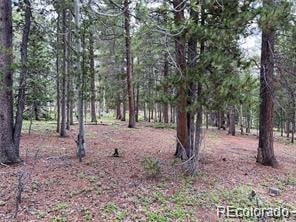 3 Paiute Rd, Evergreen CO, 80439 land for sale