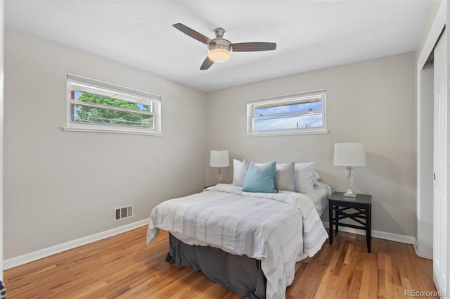 5315 Newland St, Arvada, CO 80002 - bedroom with multiple windows, baseboards, and light wood-style flooring
