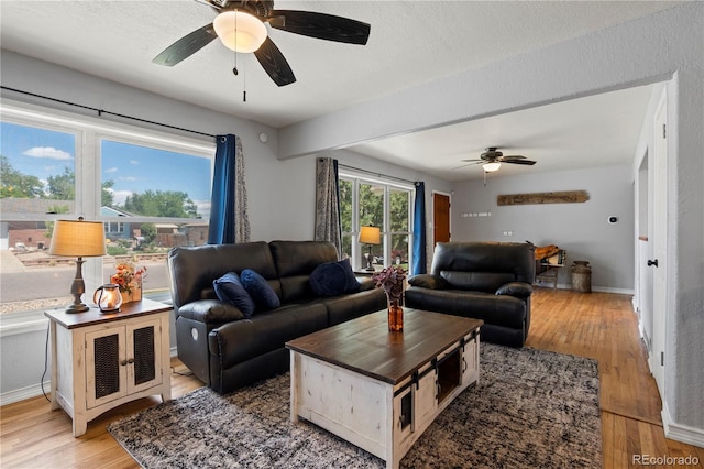 160 Northglenn Dr, Northglenn, CO 80233 - living room with a ceiling fan, light wood-style floors, and baseboards