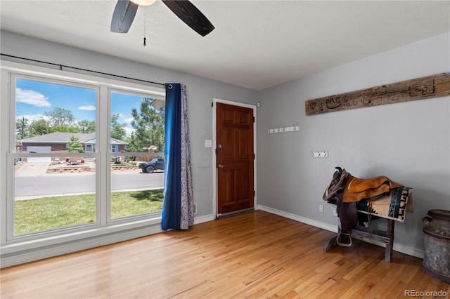 160 Northglenn Dr, Northglenn, CO 80233 - foyer entrance featuring light wood-type flooring, healthy amount of natural light, baseboards, and a ceiling fan