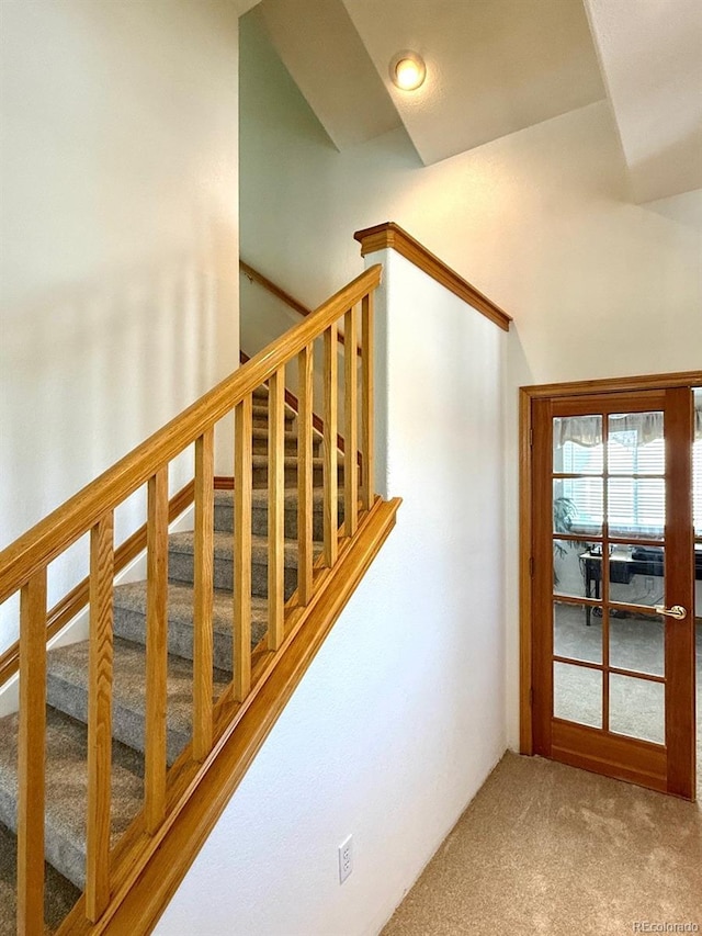 staircase featuring carpet flooring