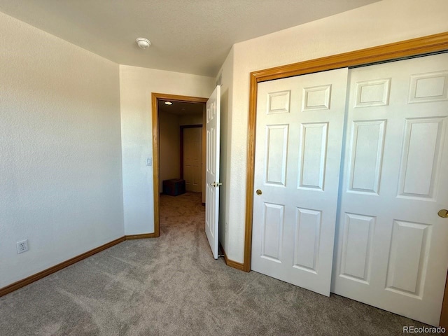 interior space featuring carpet floors and a closet