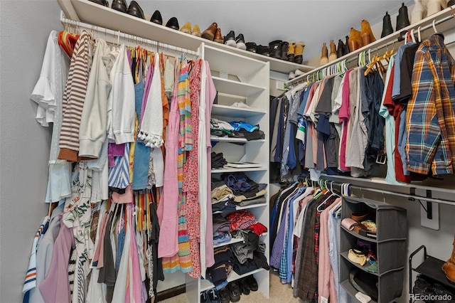 spacious closet with carpet