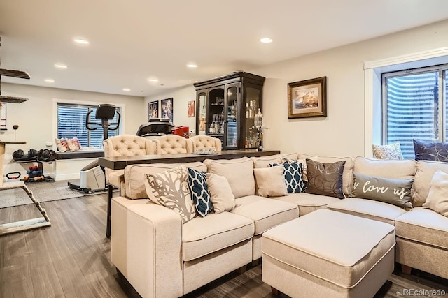 living room with dark wood-type flooring