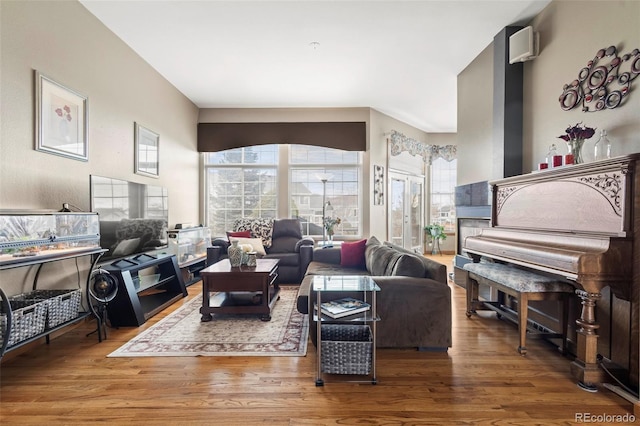 living room featuring a healthy amount of sunlight and hardwood / wood-style floors