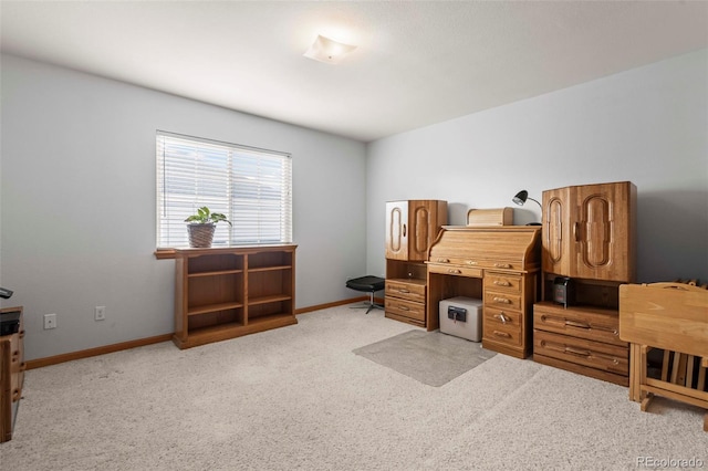 interior space with light colored carpet