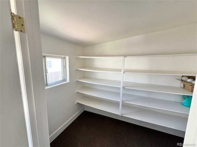 8480 Adams Way, Denver, CO 80229 - view of storage area