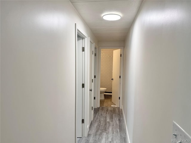 8480 Adams Way, Denver, CO 80229 - hall featuring light wood-style flooring and baseboards