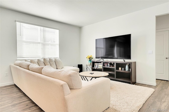 living room with hardwood / wood-style flooring