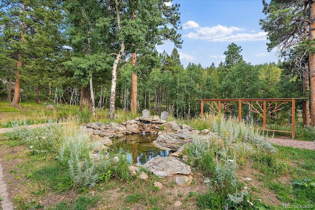 26452 Wolverine Trl, Evergreen, CO 80439 - view of yard with a forest view