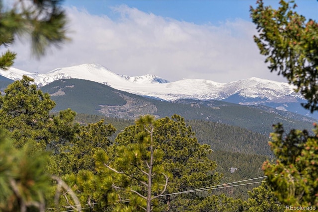 26452 Wolverine Trl, Evergreen, CO 80439 - view of mountain background
