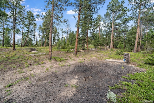 26452 Wolverine Trl, Evergreen, CO 80439 - view of yard
