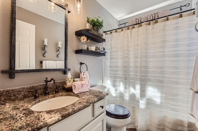 10330 Lions Path, Lone Tree, CO 80124 - bathroom featuring toilet, vanity, a textured wall, and a shower with curtain