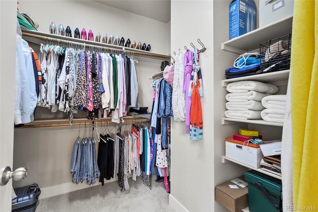 spacious closet featuring carpet flooring