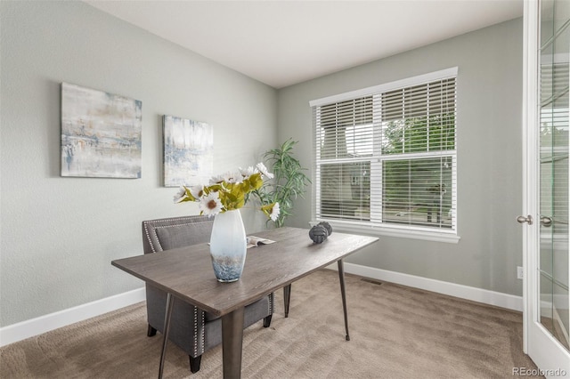 676 Fossil Bed Cir, Erie, CO 80516 - home office with baseboards and carpet floors