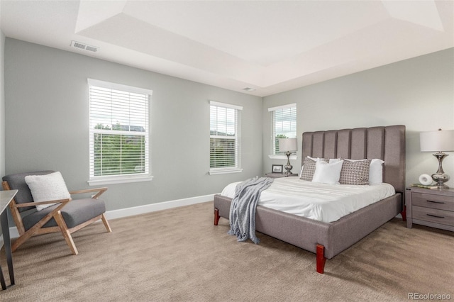 676 Fossil Bed Cir, Erie, CO 80516 - bedroom featuring a tray ceiling, carpet flooring, and baseboards