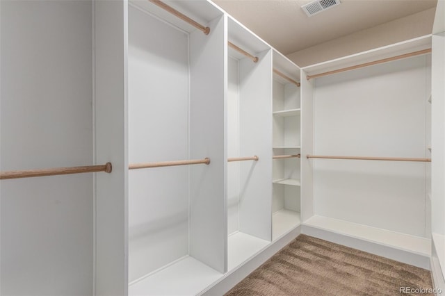 676 Fossil Bed Cir, Erie, CO 80516 - view of walk in closet