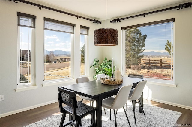 dining space with dark wood-style floors and a wealth of natural light