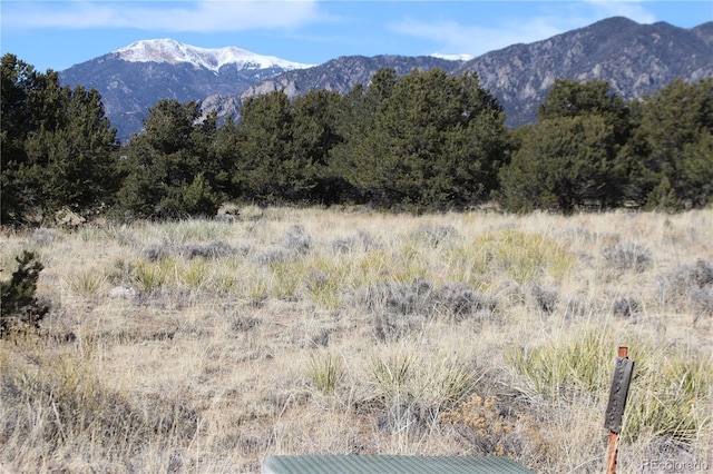 3233 Camino Del Rey, Crestone CO, 81131 land for sale