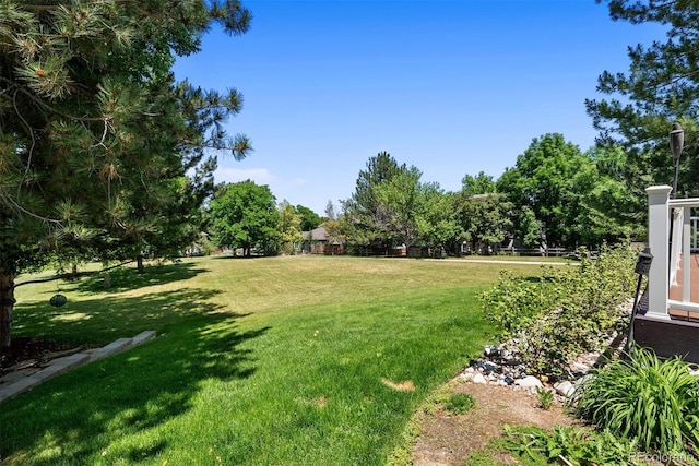 1473 E 130th Dr, Thornton, CO 80241 - view of green lawn