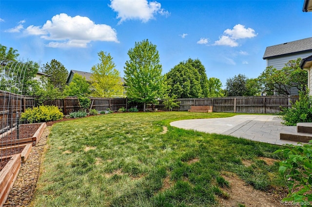1248 Button Rock Dr, Longmont, CO 80504 - view of yard featuring a vegetable garden and a patio area