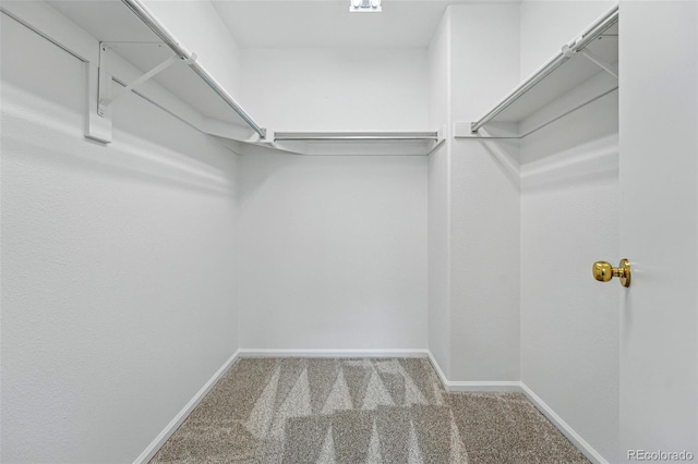 1248 Button Rock Dr, Longmont, CO 80504 - spacious closet with carpet