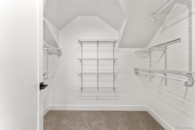 1730 N Gaylord St, Denver, CO 80206 - photo 32