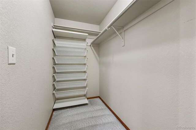 spacious closet featuring carpet