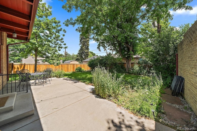 1040 N Kearney St, Denver, CO 80220 - fenced backyard with a patio and outdoor dining area