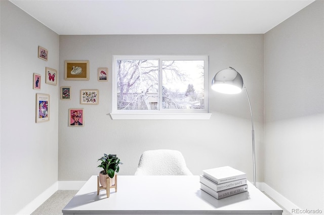 interior space with carpet floors