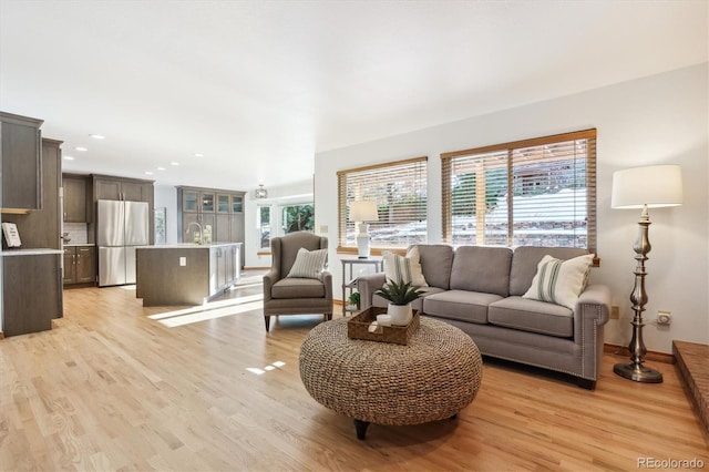 living room featuring light hardwood / wood-style floors and sink