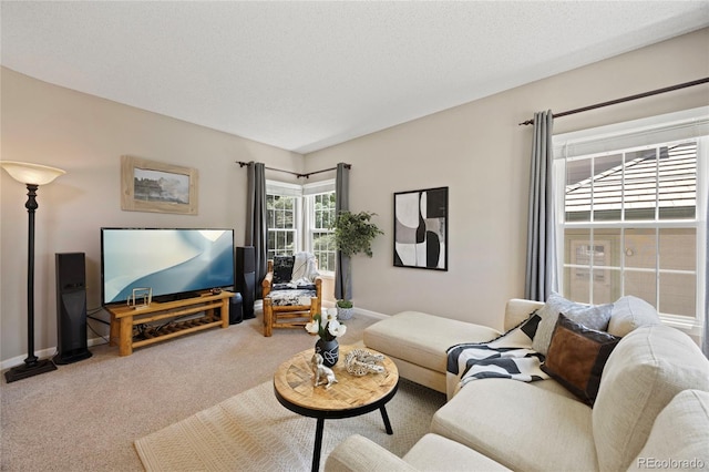 10 Sand Cherry, Littleton, CO 80127 - living area with carpet and baseboards