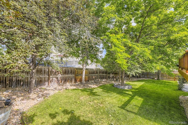 6588 S Oak Cir, Littleton, CO 80127 - view of fenced backyard