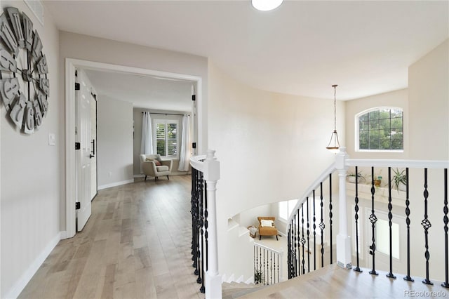 9169 Fox Fire Way, Highlands Ranch, CO 80129 - hallway with an upstairs landing, wood finished floors, and baseboards