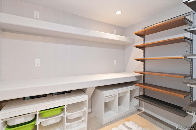 9169 Fox Fire Way, Highlands Ranch, CO 80129 - view of storage area