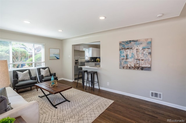 living room with dark hardwood / wood-style floors and sink