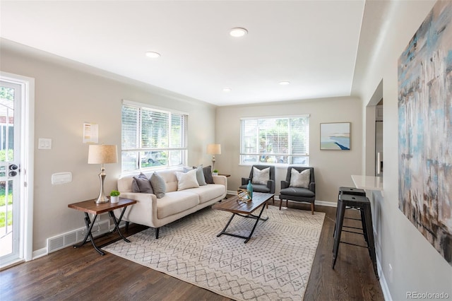 living room featuring wood-type flooring