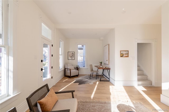 foyer entrance featuring plenty of natural light and light wood-type flooring