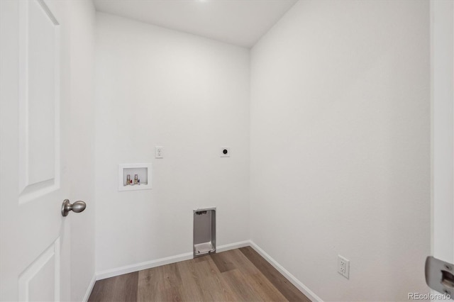 4667 Short Horn Dr, Johnstown, CO 80534 - photo 17